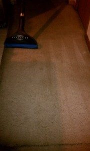 Carpet Cleaning After