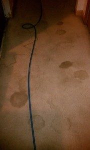 Carpet Cleaning Before