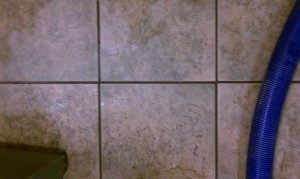 Tile and Grout Cleaning Before