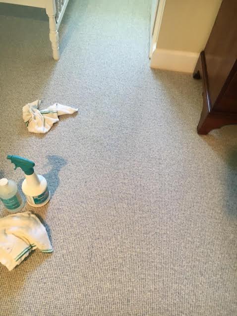 carpet stain after